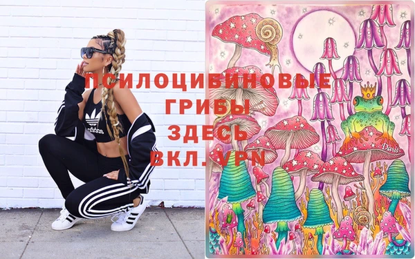 индика Красноперекопск